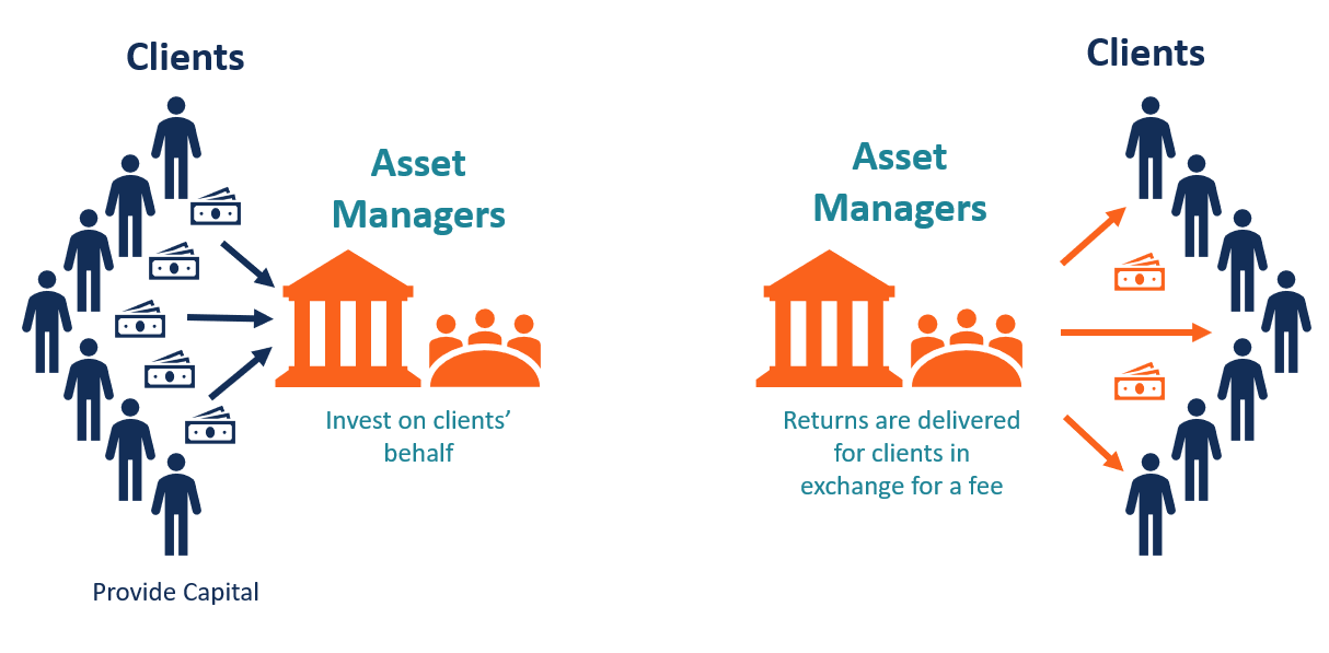 Online Asset Management Tools That Help You Grow in 2025